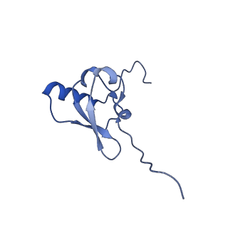 29819_8g7p_s_v1-1
Structure of the Escherichia coli 70S ribosome in complex with EF-Tu and Ile-tRNAIle(LAU) bound to the cognate AUA codon (Structure I)