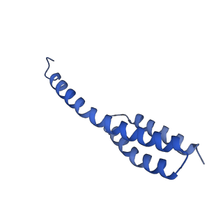 29819_8g7p_t_v1-1
Structure of the Escherichia coli 70S ribosome in complex with EF-Tu and Ile-tRNAIle(LAU) bound to the cognate AUA codon (Structure I)