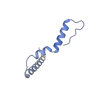 29819_8g7p_u_v1-1
Structure of the Escherichia coli 70S ribosome in complex with EF-Tu and Ile-tRNAIle(LAU) bound to the cognate AUA codon (Structure I)