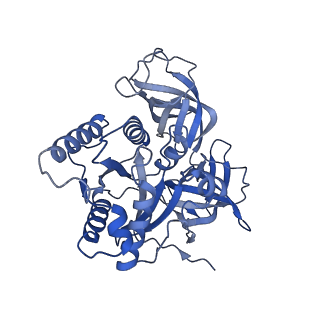 29819_8g7p_z_v1-1
Structure of the Escherichia coli 70S ribosome in complex with EF-Tu and Ile-tRNAIle(LAU) bound to the cognate AUA codon (Structure I)