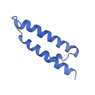 29820_8g7q_1_v1-1
Structure of the Escherichia coli 70S ribosome in complex with EF-Tu and Ile-tRNAIle(LAU) bound to the near-cognate AUG codon (Structure II)