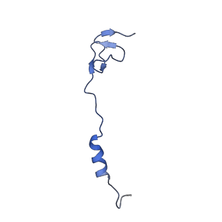 29820_8g7q_4_v1-1
Structure of the Escherichia coli 70S ribosome in complex with EF-Tu and Ile-tRNAIle(LAU) bound to the near-cognate AUG codon (Structure II)