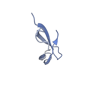 29820_8g7q_5_v1-1
Structure of the Escherichia coli 70S ribosome in complex with EF-Tu and Ile-tRNAIle(LAU) bound to the near-cognate AUG codon (Structure II)