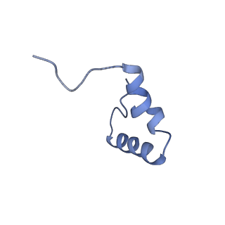 29820_8g7q_6_v1-1
Structure of the Escherichia coli 70S ribosome in complex with EF-Tu and Ile-tRNAIle(LAU) bound to the near-cognate AUG codon (Structure II)