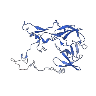 29820_8g7q_C_v1-1
Structure of the Escherichia coli 70S ribosome in complex with EF-Tu and Ile-tRNAIle(LAU) bound to the near-cognate AUG codon (Structure II)