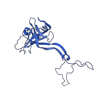 29820_8g7q_D_v1-1
Structure of the Escherichia coli 70S ribosome in complex with EF-Tu and Ile-tRNAIle(LAU) bound to the near-cognate AUG codon (Structure II)