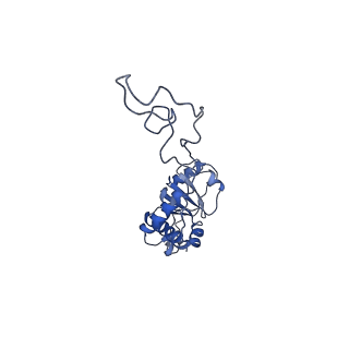 29820_8g7q_E_v1-1
Structure of the Escherichia coli 70S ribosome in complex with EF-Tu and Ile-tRNAIle(LAU) bound to the near-cognate AUG codon (Structure II)