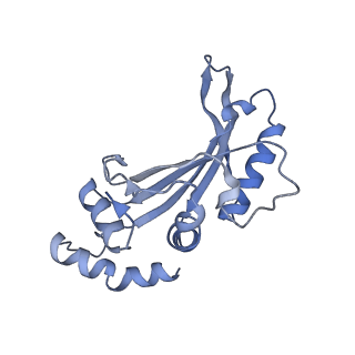 29820_8g7q_F_v1-1
Structure of the Escherichia coli 70S ribosome in complex with EF-Tu and Ile-tRNAIle(LAU) bound to the near-cognate AUG codon (Structure II)