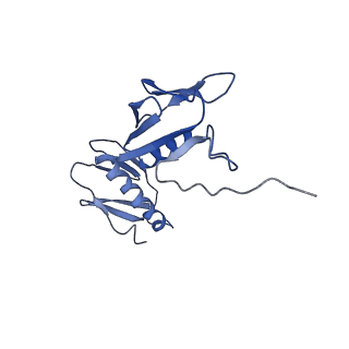 29820_8g7q_G_v1-1
Structure of the Escherichia coli 70S ribosome in complex with EF-Tu and Ile-tRNAIle(LAU) bound to the near-cognate AUG codon (Structure II)