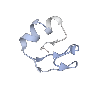 29820_8g7q_H_v1-1
Structure of the Escherichia coli 70S ribosome in complex with EF-Tu and Ile-tRNAIle(LAU) bound to the near-cognate AUG codon (Structure II)