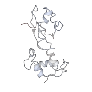 29820_8g7q_J_v1-1
Structure of the Escherichia coli 70S ribosome in complex with EF-Tu and Ile-tRNAIle(LAU) bound to the near-cognate AUG codon (Structure II)