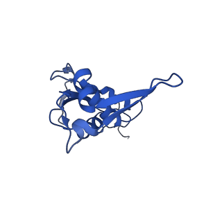 29820_8g7q_L_v1-1
Structure of the Escherichia coli 70S ribosome in complex with EF-Tu and Ile-tRNAIle(LAU) bound to the near-cognate AUG codon (Structure II)