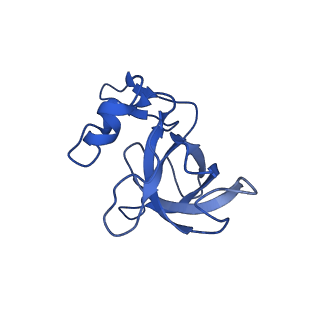 29820_8g7q_M_v1-1
Structure of the Escherichia coli 70S ribosome in complex with EF-Tu and Ile-tRNAIle(LAU) bound to the near-cognate AUG codon (Structure II)