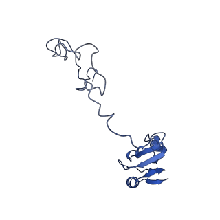 29820_8g7q_N_v1-1
Structure of the Escherichia coli 70S ribosome in complex with EF-Tu and Ile-tRNAIle(LAU) bound to the near-cognate AUG codon (Structure II)