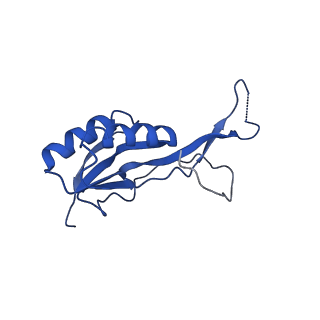 29820_8g7q_O_v1-1
Structure of the Escherichia coli 70S ribosome in complex with EF-Tu and Ile-tRNAIle(LAU) bound to the near-cognate AUG codon (Structure II)