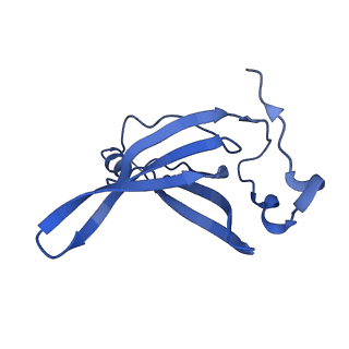 29820_8g7q_R_v1-1
Structure of the Escherichia coli 70S ribosome in complex with EF-Tu and Ile-tRNAIle(LAU) bound to the near-cognate AUG codon (Structure II)