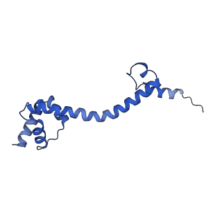 29820_8g7q_S_v1-1
Structure of the Escherichia coli 70S ribosome in complex with EF-Tu and Ile-tRNAIle(LAU) bound to the near-cognate AUG codon (Structure II)