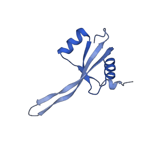 29820_8g7q_V_v1-1
Structure of the Escherichia coli 70S ribosome in complex with EF-Tu and Ile-tRNAIle(LAU) bound to the near-cognate AUG codon (Structure II)