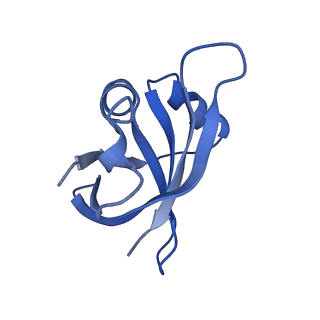 29820_8g7q_X_v1-1
Structure of the Escherichia coli 70S ribosome in complex with EF-Tu and Ile-tRNAIle(LAU) bound to the near-cognate AUG codon (Structure II)