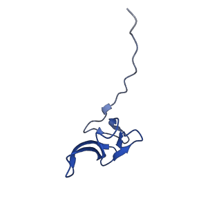 29820_8g7q_Y_v1-1
Structure of the Escherichia coli 70S ribosome in complex with EF-Tu and Ile-tRNAIle(LAU) bound to the near-cognate AUG codon (Structure II)