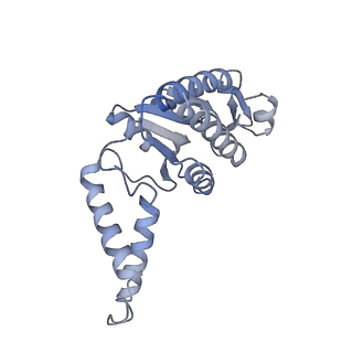 29820_8g7q_b_v1-1
Structure of the Escherichia coli 70S ribosome in complex with EF-Tu and Ile-tRNAIle(LAU) bound to the near-cognate AUG codon (Structure II)