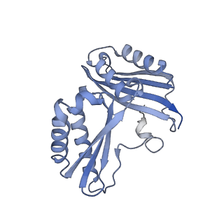 29820_8g7q_c_v1-1
Structure of the Escherichia coli 70S ribosome in complex with EF-Tu and Ile-tRNAIle(LAU) bound to the near-cognate AUG codon (Structure II)