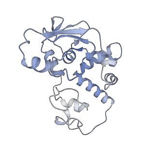 29820_8g7q_d_v1-1
Structure of the Escherichia coli 70S ribosome in complex with EF-Tu and Ile-tRNAIle(LAU) bound to the near-cognate AUG codon (Structure II)