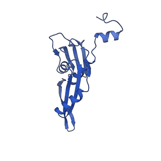 29820_8g7q_e_v1-1
Structure of the Escherichia coli 70S ribosome in complex with EF-Tu and Ile-tRNAIle(LAU) bound to the near-cognate AUG codon (Structure II)