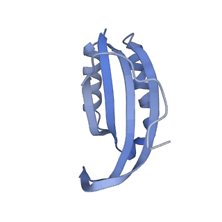 29820_8g7q_f_v1-1
Structure of the Escherichia coli 70S ribosome in complex with EF-Tu and Ile-tRNAIle(LAU) bound to the near-cognate AUG codon (Structure II)