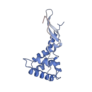 29820_8g7q_g_v1-1
Structure of the Escherichia coli 70S ribosome in complex with EF-Tu and Ile-tRNAIle(LAU) bound to the near-cognate AUG codon (Structure II)