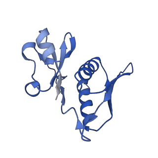 29820_8g7q_h_v1-1
Structure of the Escherichia coli 70S ribosome in complex with EF-Tu and Ile-tRNAIle(LAU) bound to the near-cognate AUG codon (Structure II)