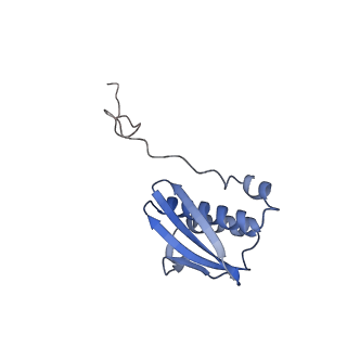 29820_8g7q_i_v1-1
Structure of the Escherichia coli 70S ribosome in complex with EF-Tu and Ile-tRNAIle(LAU) bound to the near-cognate AUG codon (Structure II)