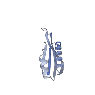 29820_8g7q_j_v1-1
Structure of the Escherichia coli 70S ribosome in complex with EF-Tu and Ile-tRNAIle(LAU) bound to the near-cognate AUG codon (Structure II)