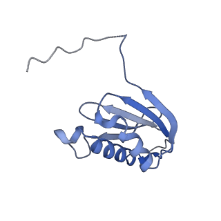 29820_8g7q_k_v1-1
Structure of the Escherichia coli 70S ribosome in complex with EF-Tu and Ile-tRNAIle(LAU) bound to the near-cognate AUG codon (Structure II)