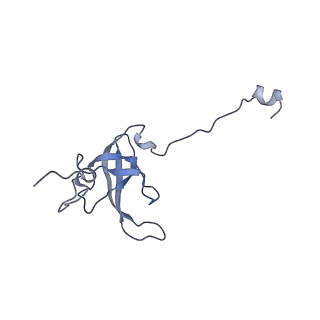 29820_8g7q_l_v1-1
Structure of the Escherichia coli 70S ribosome in complex with EF-Tu and Ile-tRNAIle(LAU) bound to the near-cognate AUG codon (Structure II)