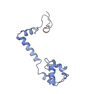 29820_8g7q_m_v1-1
Structure of the Escherichia coli 70S ribosome in complex with EF-Tu and Ile-tRNAIle(LAU) bound to the near-cognate AUG codon (Structure II)