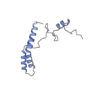 29820_8g7q_n_v1-1
Structure of the Escherichia coli 70S ribosome in complex with EF-Tu and Ile-tRNAIle(LAU) bound to the near-cognate AUG codon (Structure II)