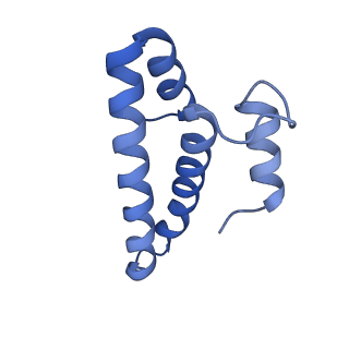 29820_8g7q_o_v1-1
Structure of the Escherichia coli 70S ribosome in complex with EF-Tu and Ile-tRNAIle(LAU) bound to the near-cognate AUG codon (Structure II)