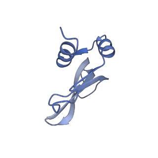 29820_8g7q_p_v1-1
Structure of the Escherichia coli 70S ribosome in complex with EF-Tu and Ile-tRNAIle(LAU) bound to the near-cognate AUG codon (Structure II)