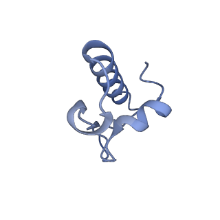 29820_8g7q_r_v1-1
Structure of the Escherichia coli 70S ribosome in complex with EF-Tu and Ile-tRNAIle(LAU) bound to the near-cognate AUG codon (Structure II)