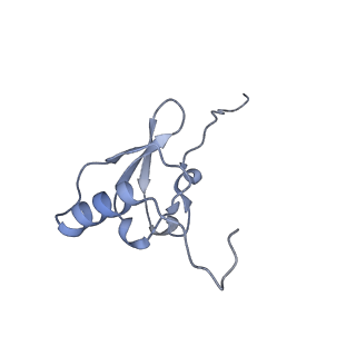 29820_8g7q_s_v1-1
Structure of the Escherichia coli 70S ribosome in complex with EF-Tu and Ile-tRNAIle(LAU) bound to the near-cognate AUG codon (Structure II)