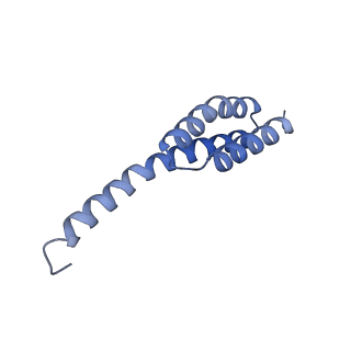 29820_8g7q_t_v1-1
Structure of the Escherichia coli 70S ribosome in complex with EF-Tu and Ile-tRNAIle(LAU) bound to the near-cognate AUG codon (Structure II)