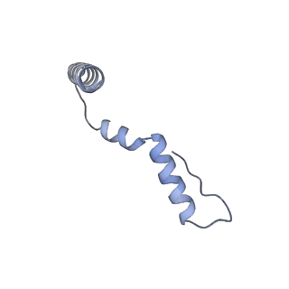 29820_8g7q_u_v1-1
Structure of the Escherichia coli 70S ribosome in complex with EF-Tu and Ile-tRNAIle(LAU) bound to the near-cognate AUG codon (Structure II)