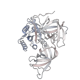 29820_8g7q_z_v1-1
Structure of the Escherichia coli 70S ribosome in complex with EF-Tu and Ile-tRNAIle(LAU) bound to the near-cognate AUG codon (Structure II)