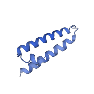 29821_8g7r_1_v1-1
Structure of the Escherichia coli 70S ribosome in complex with A-site tRNAIle(LAU) bound to the cognate AUA codon (Structure III)