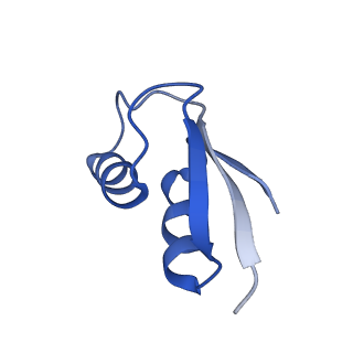 29821_8g7r_2_v1-1
Structure of the Escherichia coli 70S ribosome in complex with A-site tRNAIle(LAU) bound to the cognate AUA codon (Structure III)