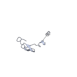 29821_8g7r_3_v1-1
Structure of the Escherichia coli 70S ribosome in complex with A-site tRNAIle(LAU) bound to the cognate AUA codon (Structure III)