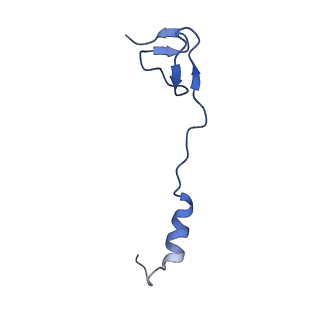 29821_8g7r_4_v1-1
Structure of the Escherichia coli 70S ribosome in complex with A-site tRNAIle(LAU) bound to the cognate AUA codon (Structure III)