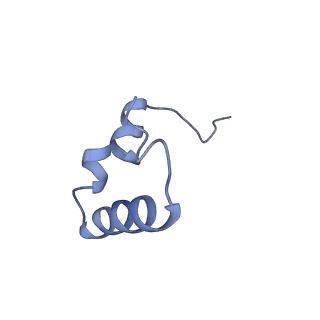 29821_8g7r_6_v1-1
Structure of the Escherichia coli 70S ribosome in complex with A-site tRNAIle(LAU) bound to the cognate AUA codon (Structure III)