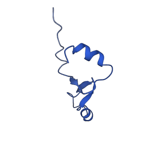 29821_8g7r_7_v1-1
Structure of the Escherichia coli 70S ribosome in complex with A-site tRNAIle(LAU) bound to the cognate AUA codon (Structure III)